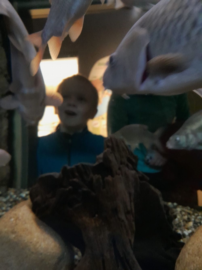 IMG-20251127-WA0001 – kopie