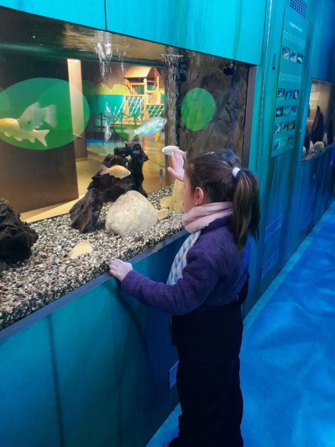 IMG-20251127-WA0002 – kopie