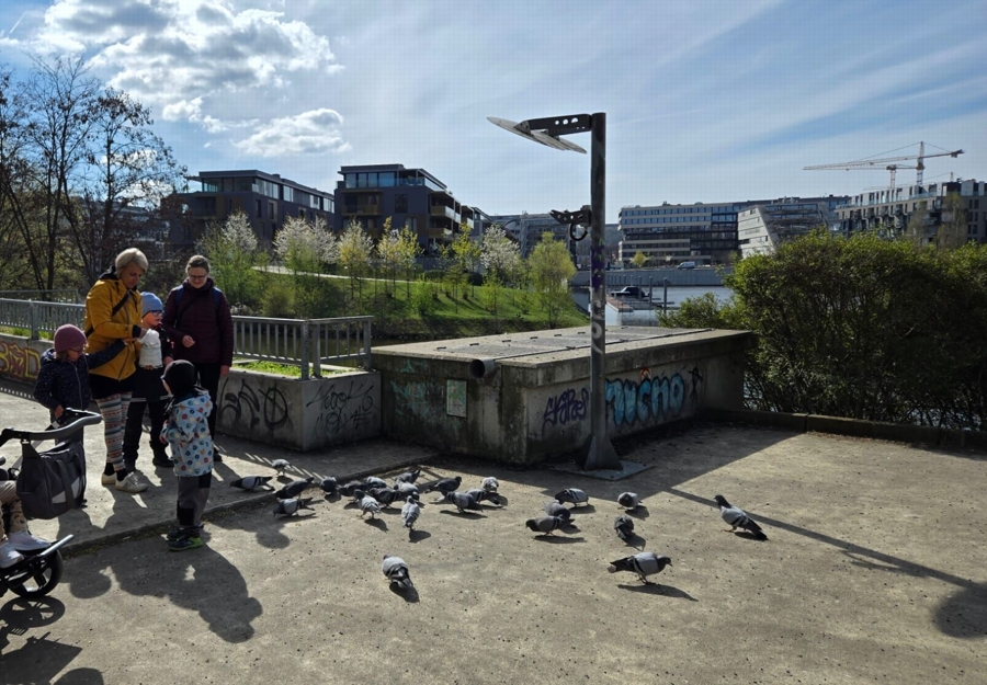 IMG-20260409-WA0000